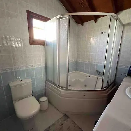 Villa Muestakil Isitmali Havuzlu Zeyfat Sapanca
