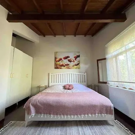 Muestakil Isitmali Havuzlu Zeyfat Sapanca