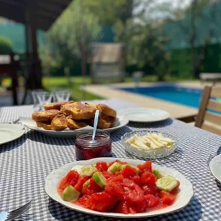 Villa Muestakil Isitmali Havuzlu Zeyfat Sapanca